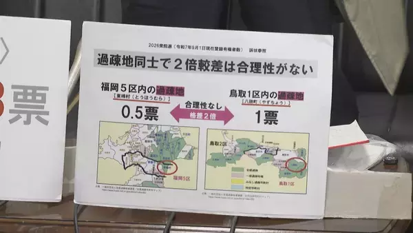 「「一票の格差」解消を目指す…弁護士グループが衆院選の無効を求め訴訟　衆院選の最大格差は2.09倍」の画像