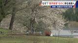 「スーパーもコンビニもない“限界集落”に移住者続々…救世主は｢水力発電｣!? 今では人口の4分の1が移住者 岐阜の山間にある石徹白集落」の画像16