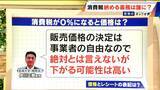 「｢消費税｣納める義務は消費者にない⁉ 厳密には…“価格に上乗せ”されているだけだった」の画像6