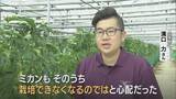 「温暖化加速で｢ミカン｣→｢パッションフルーツ｣栽培 でも…花咲く最適温度は25℃ 亜熱帯の果物でも耐えられない程の気温上昇… 更なる対策は？」の画像2