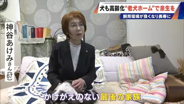 ｢つらい時には『つらい』と言っていい｣ 犬の平均寿命は14.82歳 人もペットも“超高齢化”… 動物病院ではできない介護を担う｢老犬ホーム｣