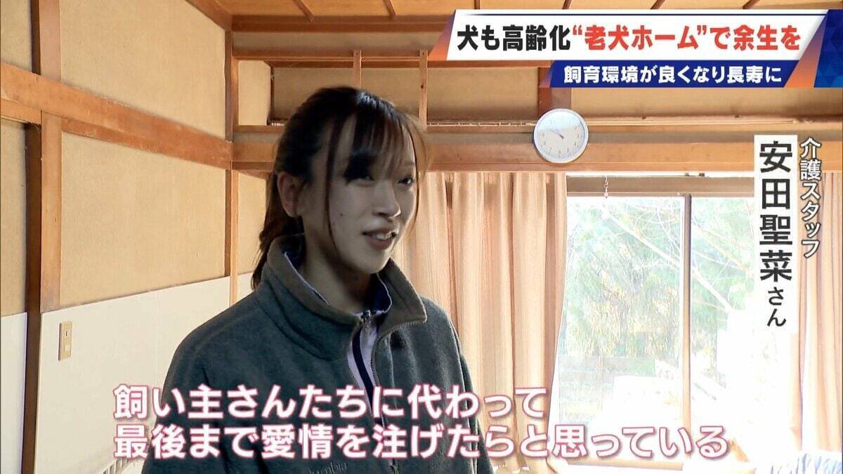 ｢つらい時には『つらい』と言っていい｣ 犬の平均寿命は14.82歳 人もペットも“超高齢化”… 動物病院ではできない介護を担う｢老犬ホーム｣