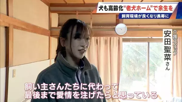 「｢つらい時には『つらい』と言っていい｣ 犬の平均寿命は14.82歳 人もペットも“超高齢化”… 動物病院ではできない介護を担う｢老犬ホーム｣」の画像