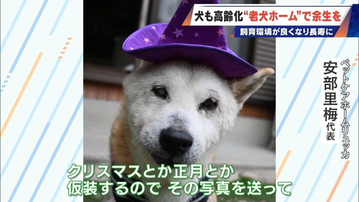 ｢つらい時には『つらい』と言っていい｣ 犬の平均寿命は14.82歳 人もペットも“超高齢化”… 動物病院ではできない介護を担う｢老犬ホーム｣