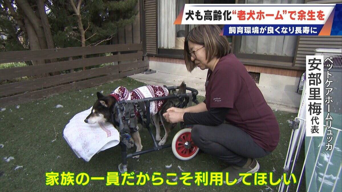 ｢つらい時には『つらい』と言っていい｣ 犬の平均寿命は14.82歳 人もペットも“超高齢化”… 動物病院ではできない介護を担う｢老犬ホーム｣