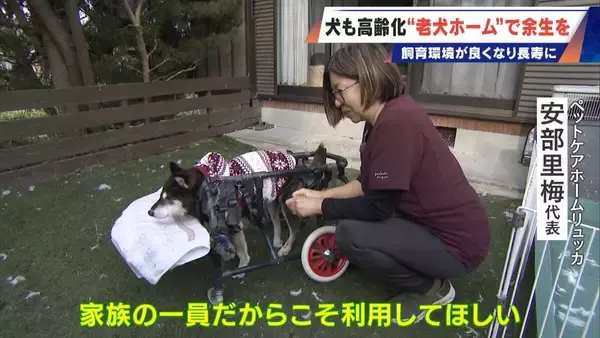 「｢つらい時には『つらい』と言っていい｣ 犬の平均寿命は14.82歳 人もペットも“超高齢化”… 動物病院ではできない介護を担う｢老犬ホーム｣」の画像