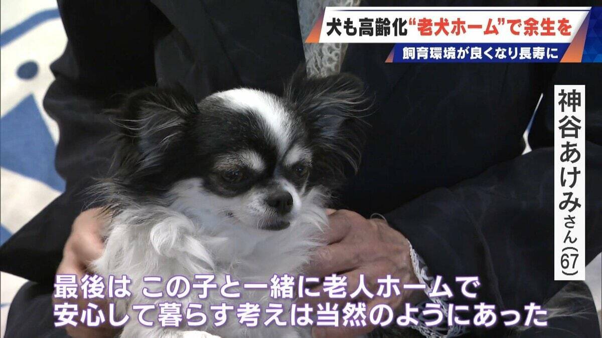｢つらい時には『つらい』と言っていい｣ 犬の平均寿命は14.82歳 人もペットも“超高齢化”… 動物病院ではできない介護を担う｢老犬ホーム｣