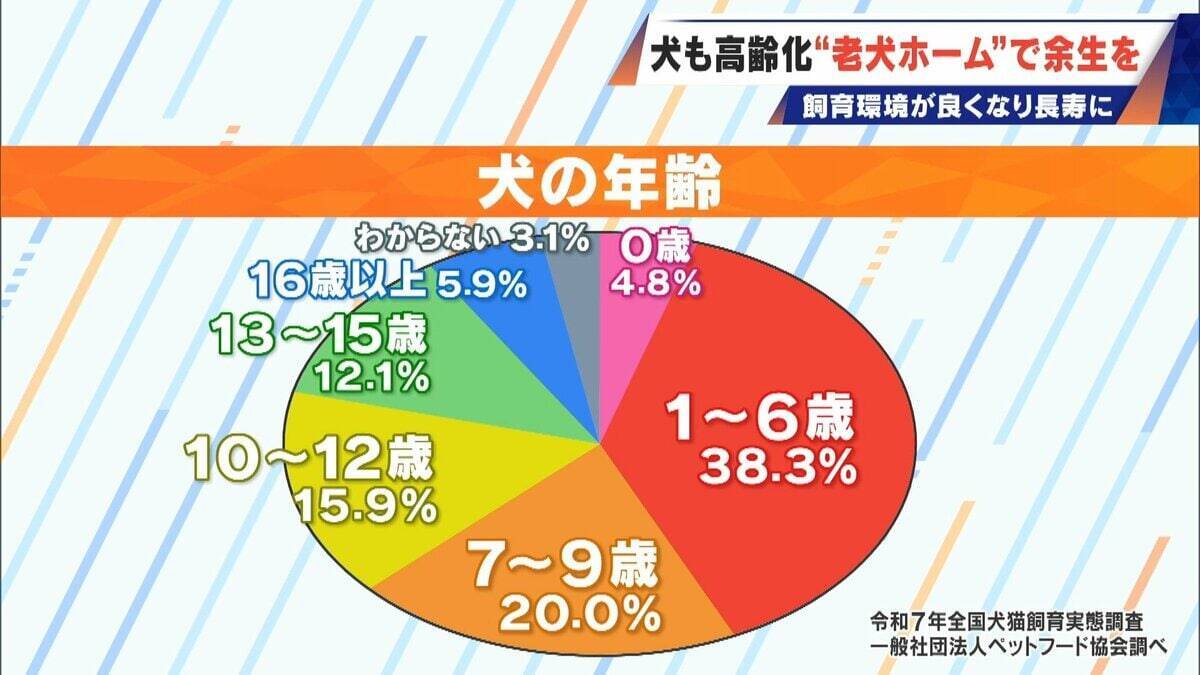 ｢つらい時には『つらい』と言っていい｣ 犬の平均寿命は14.82歳 人もペットも“超高齢化”… 動物病院ではできない介護を担う｢老犬ホーム｣