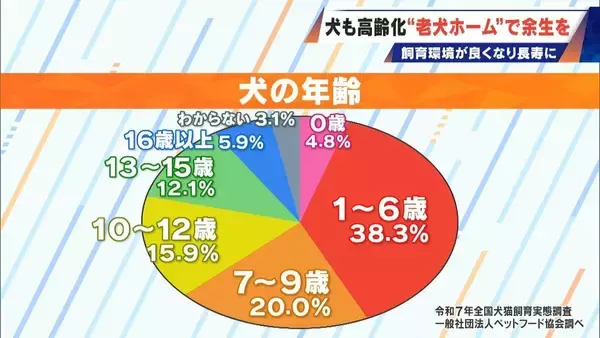 「｢つらい時には『つらい』と言っていい｣ 犬の平均寿命は14.82歳 人もペットも“超高齢化”… 動物病院ではできない介護を担う｢老犬ホーム｣」の画像