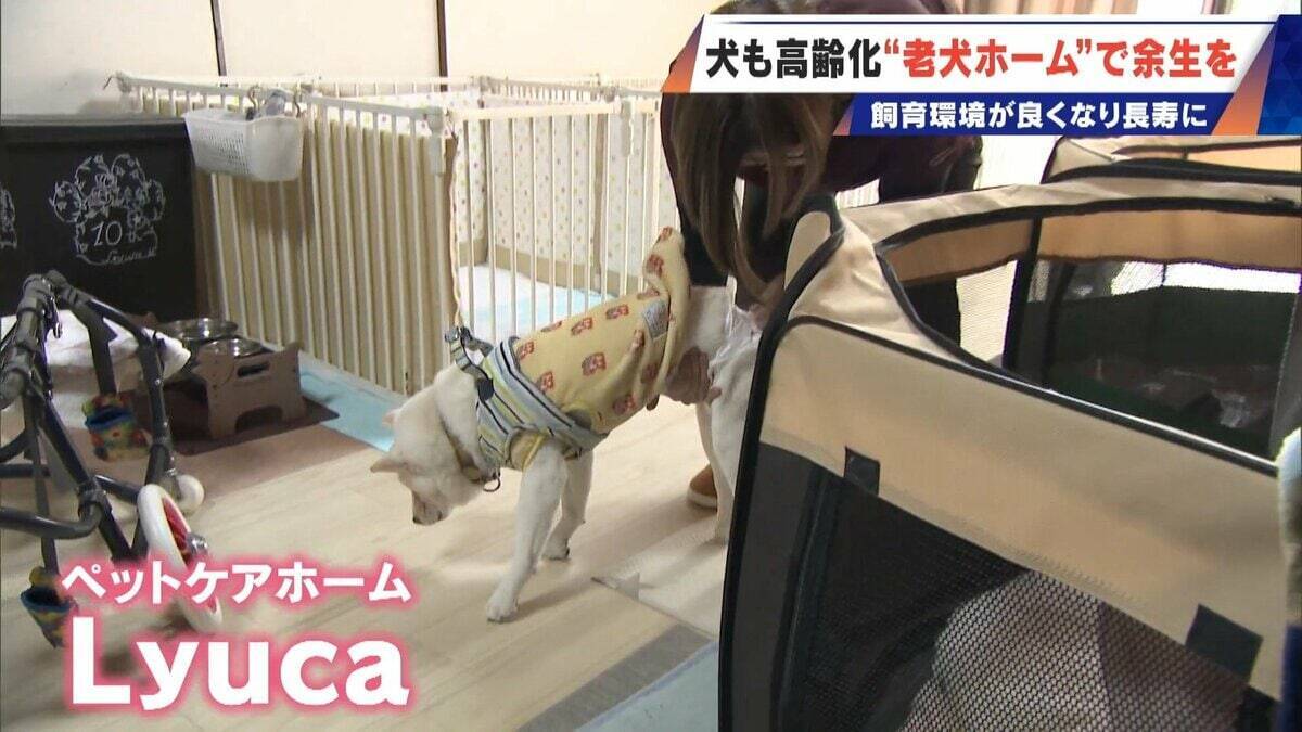 ｢つらい時には『つらい』と言っていい｣ 犬の平均寿命は14.82歳 人もペットも“超高齢化”… 動物病院ではできない介護を担う｢老犬ホーム｣