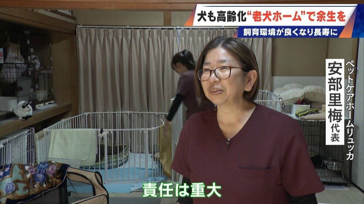 ｢つらい時には『つらい』と言っていい｣ 犬の平均寿命は14.82歳 人もペットも“超高齢化”… 動物病院ではできない介護を担う｢老犬ホーム｣