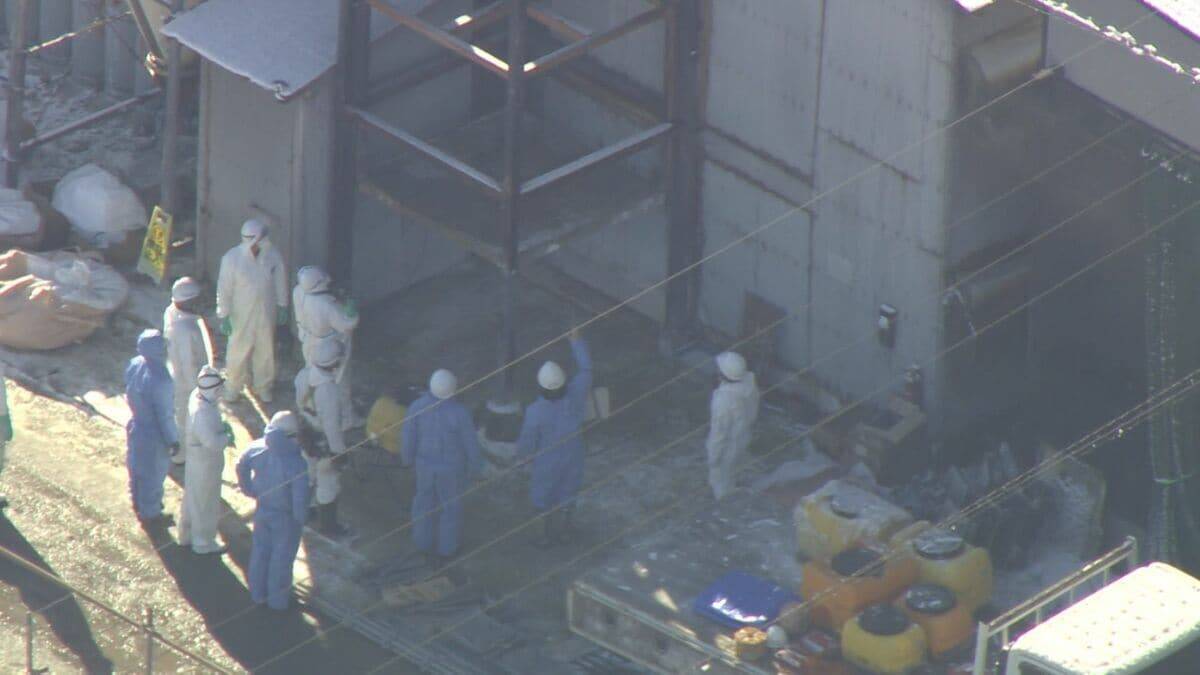 AIが野鳥感知しレーザー照射･約1000万円かけ消毒液を自動噴射…“鳥インフルエンザ”で殺処分相次ぐ中｢やれるだけのことを…｣ 養鶏場での感染対策の取り組み 愛知・一宮市