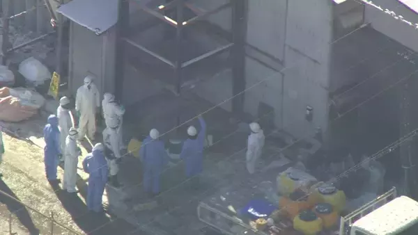 「AIが野鳥感知しレーザー照射･約1000万円かけ消毒液を自動噴射…“鳥インフルエンザ”で殺処分相次ぐ中｢やれるだけのことを…｣ 養鶏場での感染対策の取り組み 愛知・一宮市」の画像