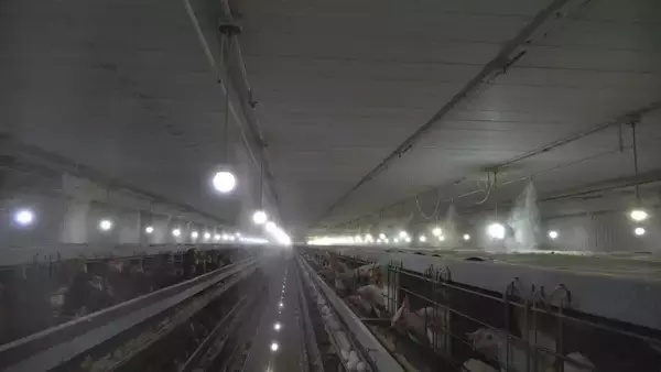 「AIが野鳥感知しレーザー照射･約1000万円かけ消毒液を自動噴射…“鳥インフルエンザ”で殺処分相次ぐ中｢やれるだけのことを…｣ 養鶏場での感染対策の取り組み 愛知・一宮市」の画像