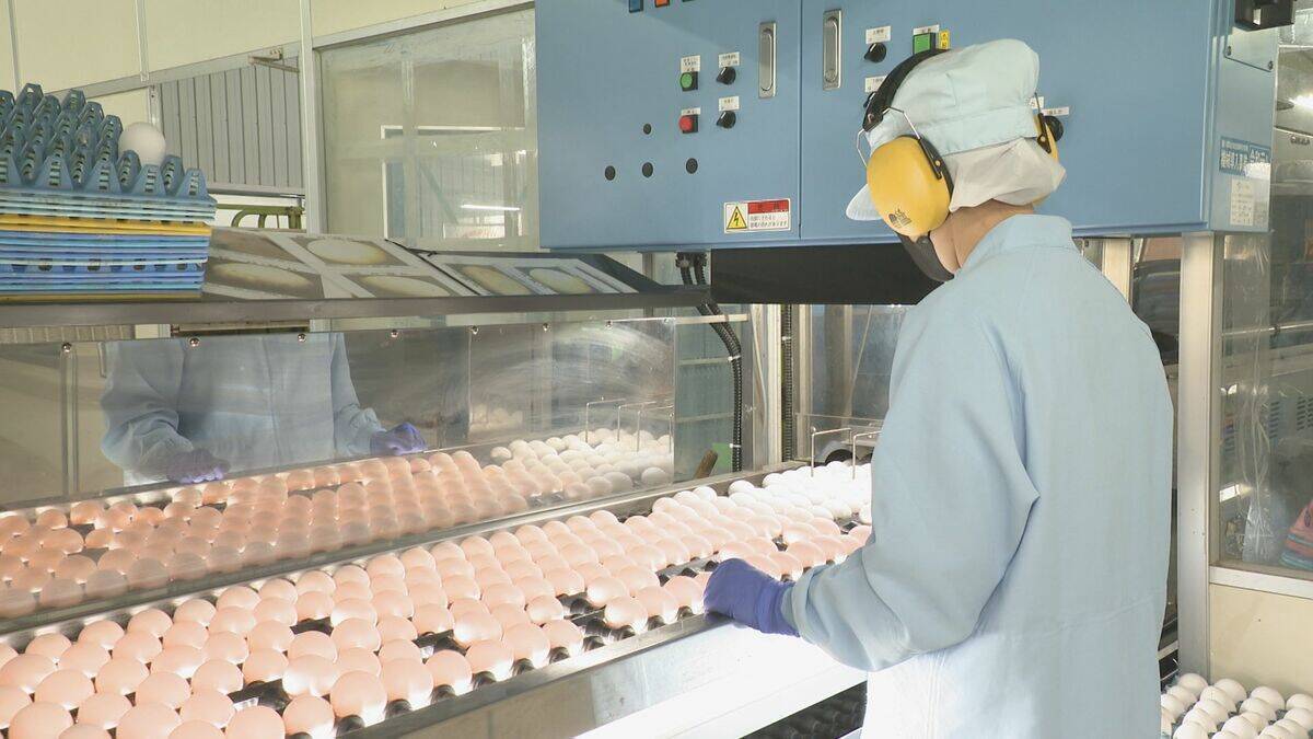 AIが野鳥感知しレーザー照射･約1000万円かけ消毒液を自動噴射…“鳥インフルエンザ”で殺処分相次ぐ中｢やれるだけのことを…｣ 養鶏場での感染対策の取り組み 愛知・一宮市