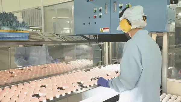 「AIが野鳥感知しレーザー照射･約1000万円かけ消毒液を自動噴射…“鳥インフルエンザ”で殺処分相次ぐ中｢やれるだけのことを…｣ 養鶏場での感染対策の取り組み 愛知・一宮市」の画像