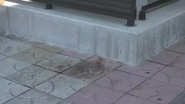 「病院敷地内に倒れていた男性が死亡 直前に“男性3人と口論、鉄パイプで殴られている”との通報も 愛知･豊川市民病院」の画像