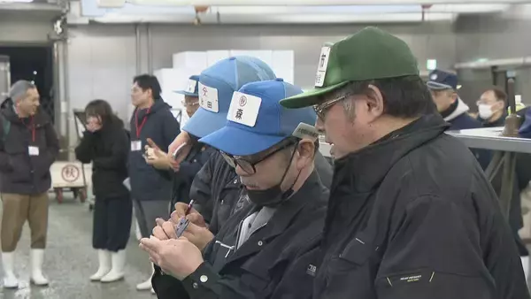 「241キロ 青森県大間産のクロマグロが650万7000円で“最高値”に 中央卸売市場で初競り 最高値のマグロはバローで販売」の画像