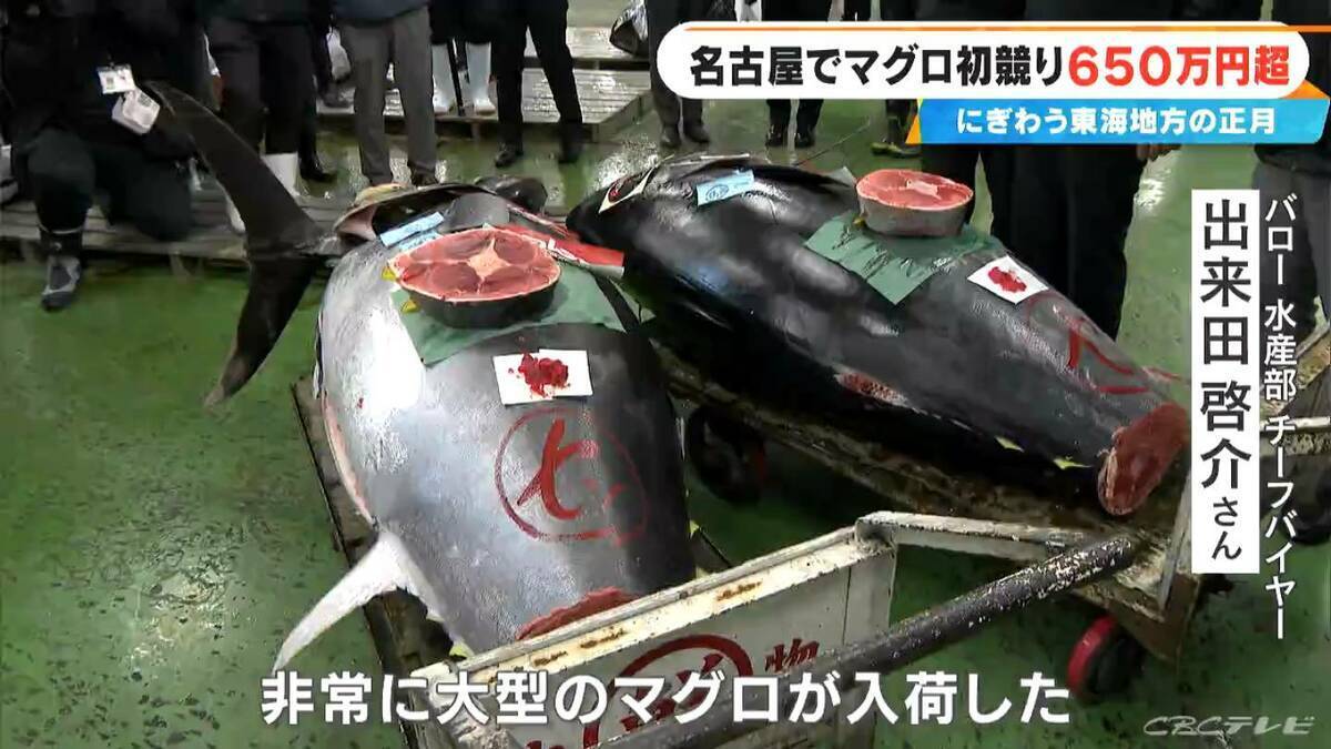 241キロ 青森県大間産のクロマグロが650万7000円で“最高値”に 中央卸売市場で初競り 最高値のマグロはバローで販売