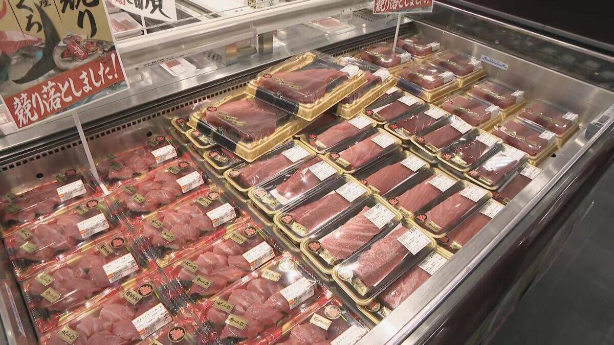 241キロ 青森県大間産のクロマグロが650万7000円で“最高値”に 中央卸売市場で初競り 最高値のマグロはバローで販売