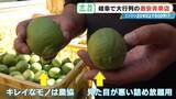 「｢詰め放題｣を超えて“積み放題” !?  ニンジン20本以上で500円 激安店｢いもゴリラ朝市｣ 代表は約130キロ激走して出荷作業の手伝いも」の画像14