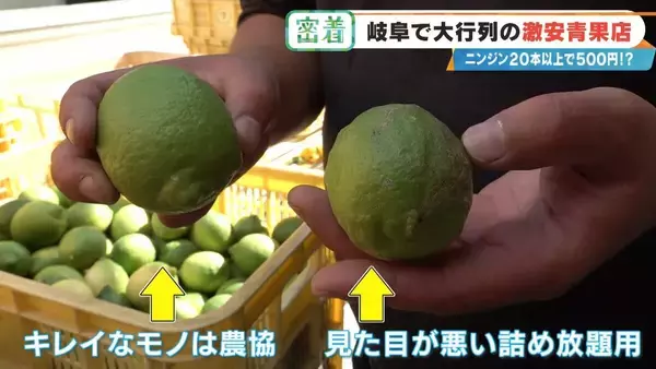 「｢詰め放題｣を超えて“積み放題” !?  ニンジン20本以上で500円 激安店｢いもゴリラ朝市｣ 代表は約130キロ激走して出荷作業の手伝いも」の画像