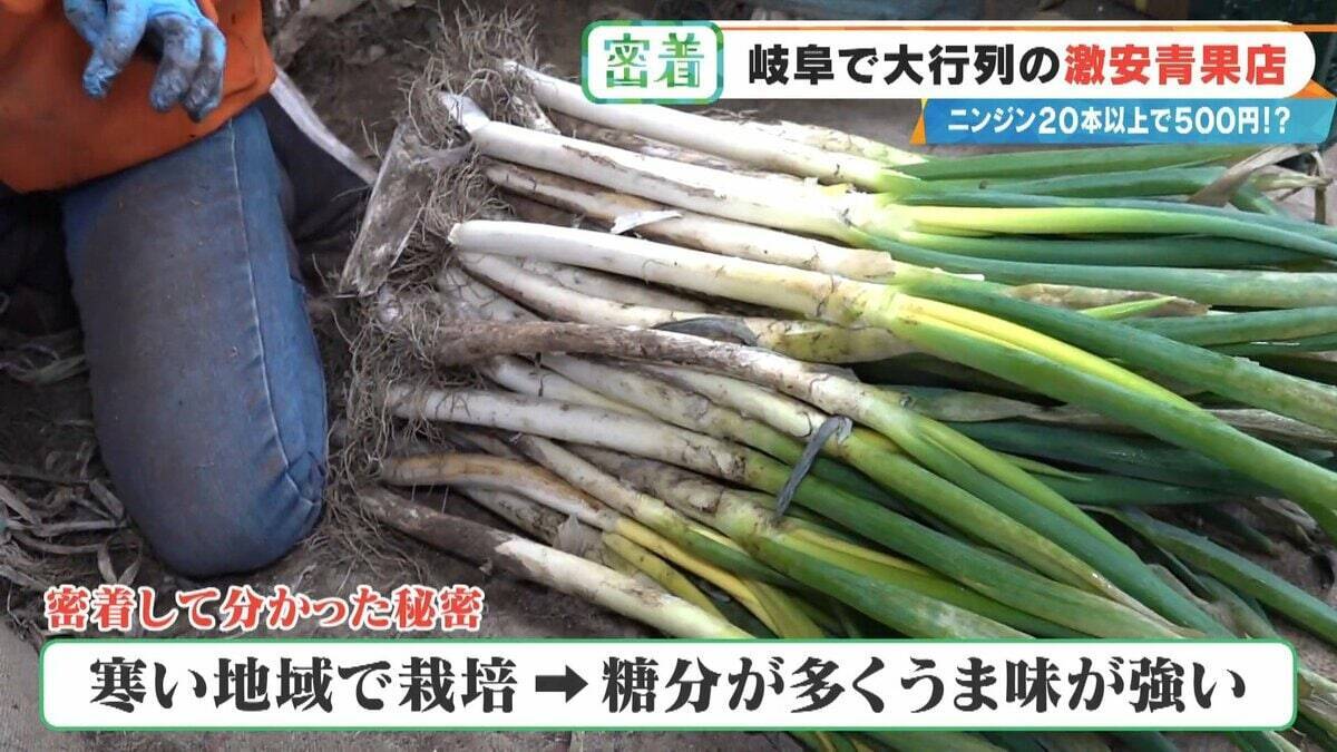 ｢詰め放題｣を超えて“積み放題” !?  ニンジン20本以上で500円 激安店｢いもゴリラ朝市｣ 代表は約130キロ激走して出荷作業の手伝いも
