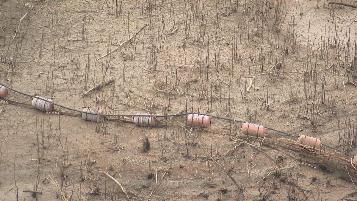 豊川用水 4月10日から節水緩和へ 水道用水30%→20% 農業･工業用水50%→40%に 田植え延期要請は継続 愛知