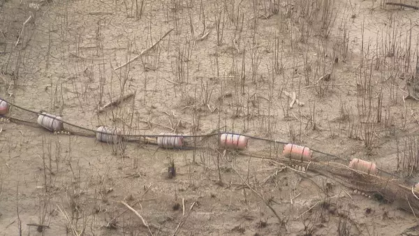 「豊川用水 4月10日から節水緩和へ 水道用水30%→20% 農業･工業用水50%→40%に 田植え延期要請は継続 愛知」の画像