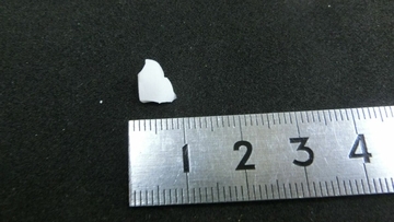 小学校の給食に“磁器の破片”が混入 小学4年の女子児童がよけて食べた後｢卵のカラが入っていた｣と報告し発覚 欠けた食器のカケラか 三重･伊勢市