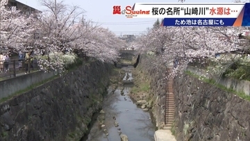 決壊したら15分ほどで名古屋･本山にも“濁流”が… 住宅街の中にある｢猫ヶ洞池｣ 見慣れた風景に潜む“ため池”の危険