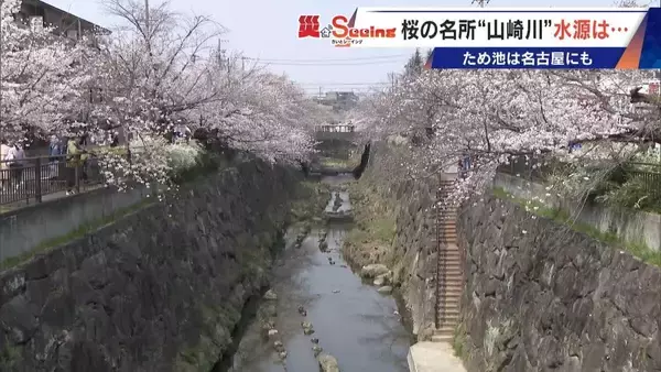 決壊したら15分ほどで名古屋･本山にも“濁流”が… 住宅街の中にある｢猫ヶ洞池｣ 見慣れた風景に潜む“ため池”の危険