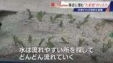 「決壊したら15分ほどで名古屋･本山にも“濁流”が… 住宅街の中にある｢猫ヶ洞池｣ 見慣れた風景に潜む“ため池”の危険」の画像14