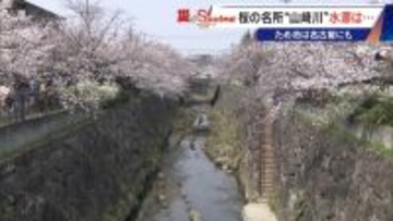 決壊したら15分ほどで名古屋･本山にも“濁流”が… 住宅街の中にある｢猫ヶ洞池｣ 見慣れた風景に潜む“ため池”の危険