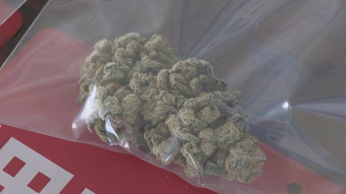 営利目的で乾燥大麻を譲り受けた疑い…約23グラム4万円で 運送会社勤務の36歳男を逮捕 「営利目的ではなく自己使用のため…」と容疑否認 愛知県警江南署