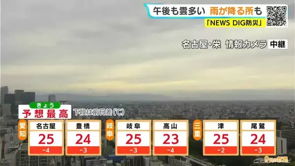 「東海地方はすっきりしない天気に 雨が降る所も あすは晴れて日差し強まる 愛知･名古屋･岐阜･三重の天気予報（6/9 昼）」の画像