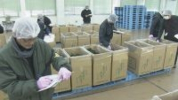 “生産量全国一”三重県産アオサノリ最高価格は1万2000円 猛暑で初市は2週間遅れ…でも黒潮大蛇行終息で｢非常に香り高い｣