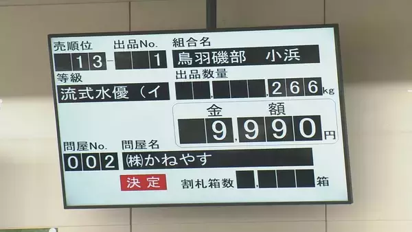 「“生産量全国一”三重県産アオサノリ最高価格は1万2000円 猛暑で初市は2週間遅れ…でも黒潮大蛇行終息で｢非常に香り高い｣」の画像