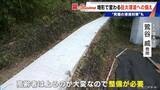 「【南海トラフ巨大地震】9分で津波到達も｢逃げるより家にいた方が…｣ 500年前に“究極の津波対策”を決断した集落が三重に」の画像11