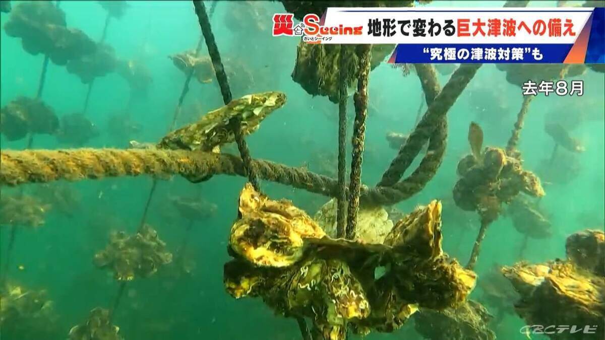 【南海トラフ巨大地震】9分で津波到達も｢逃げるより家にいた方が…｣ 500年前に“究極の津波対策”を決断した集落が三重に