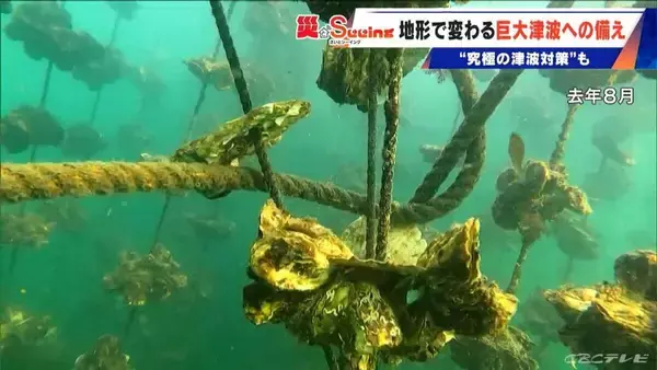 「【南海トラフ巨大地震】9分で津波到達も｢逃げるより家にいた方が…｣ 500年前に“究極の津波対策”を決断した集落が三重に」の画像