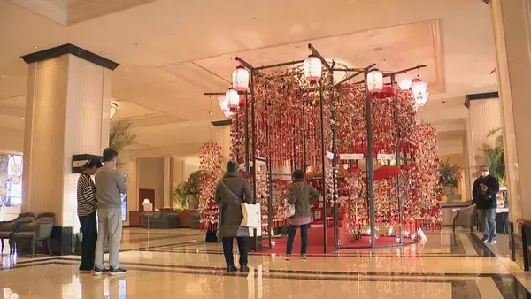 「女の子の健やかな成長と良縁願う“雛のつるし飾り”  江戸時代後期から伝わる伝統工芸 静岡･東伊豆町のつるし飾りなどとともに 3月3日まで展示 名古屋」の画像