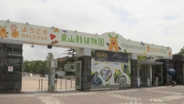 多摩動物園のライオン相次いで死ぬ… 名古屋･東山動物園の対策は？できるだけ日陰を作り…冷房の効いた部屋を出入りできる仕組みに