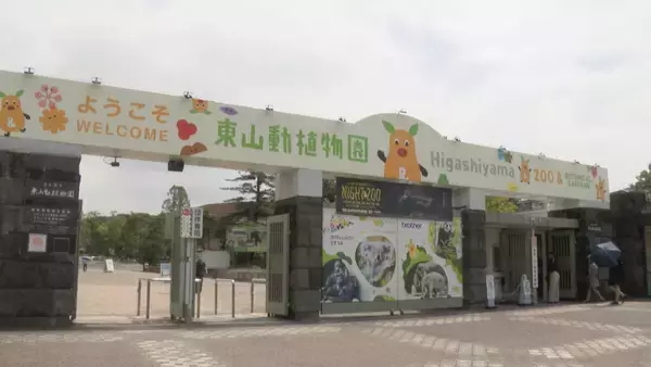 多摩動物園のライオン相次いで死ぬ… 名古屋･東山動物園の対策は？できるだけ日陰を作り…冷房の効いた部屋を出入りできる仕組みに