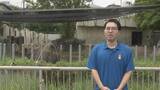「多摩動物園のライオン相次いで死ぬ… 名古屋･東山動物園の対策は？できるだけ日陰を作り…冷房の効いた部屋を出入りできる仕組みに」の画像2