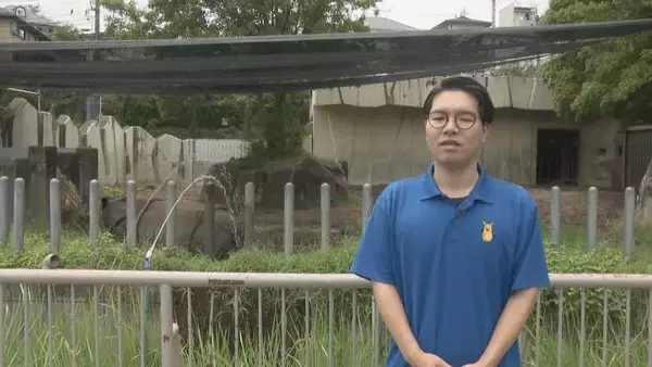 「多摩動物園のライオン相次いで死ぬ… 名古屋･東山動物園の対策は？できるだけ日陰を作り…冷房の効いた部屋を出入りできる仕組みに」の画像