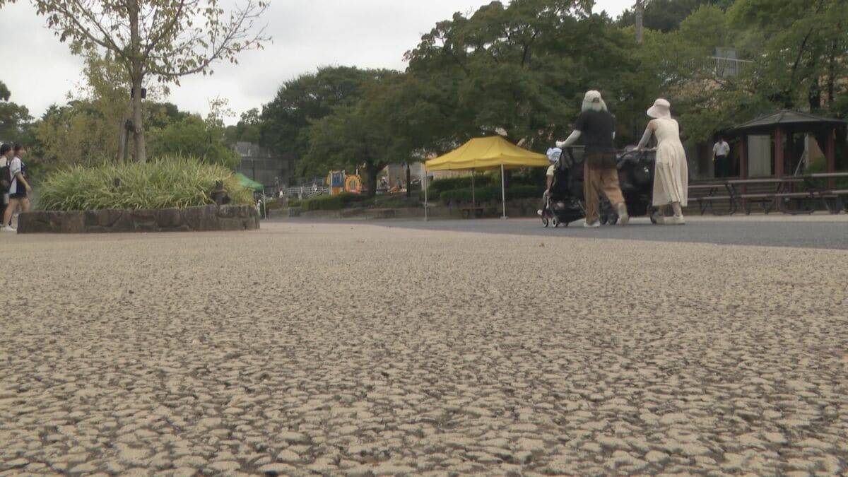 多摩動物園のライオン相次いで死ぬ… 名古屋･東山動物園の対策は？できるだけ日陰を作り…冷房の効いた部屋を出入りできる仕組みに