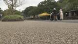 「多摩動物園のライオン相次いで死ぬ… 名古屋･東山動物園の対策は？できるだけ日陰を作り…冷房の効いた部屋を出入りできる仕組みに」の画像5