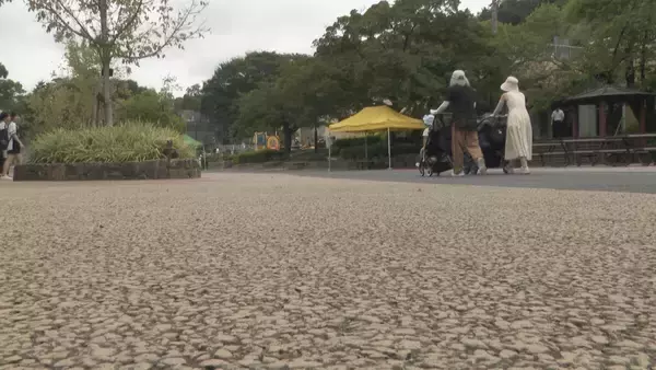 「多摩動物園のライオン相次いで死ぬ… 名古屋･東山動物園の対策は？できるだけ日陰を作り…冷房の効いた部屋を出入りできる仕組みに」の画像