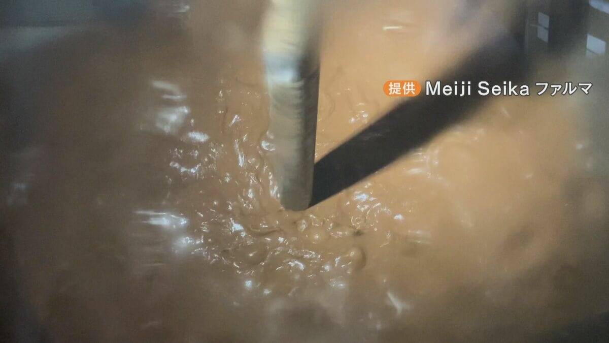 約30年ぶりに抗菌薬の原料“ペニシリン”国内製造再開 ほぼ100％中国に依存する中で… 課題は“コスト面”